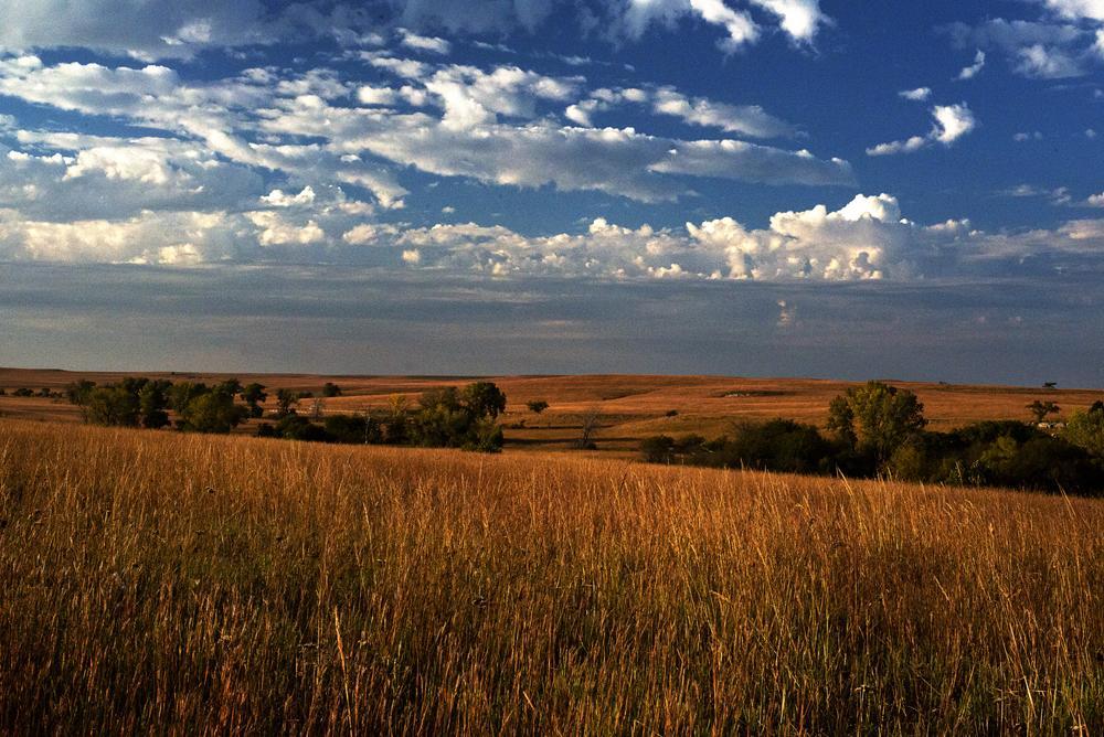 Clover Cliff Ranch Bed And Breakfast Elmdale Εξωτερικό φωτογραφία